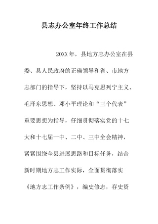 县志办公室年终工作总结--精编范文