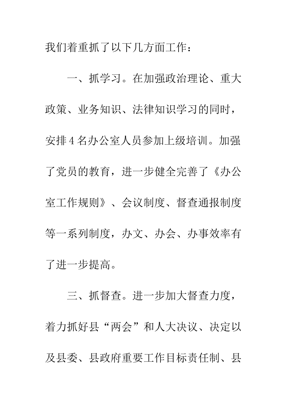 县政府办公室2025年度工作报告--精编范文_第2页