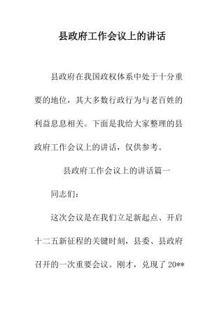 县政府工作会议上的讲话--精编范文