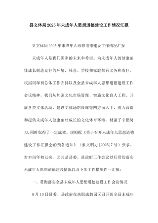 县文体局2025年未成年人思想道德建设工作情况汇报