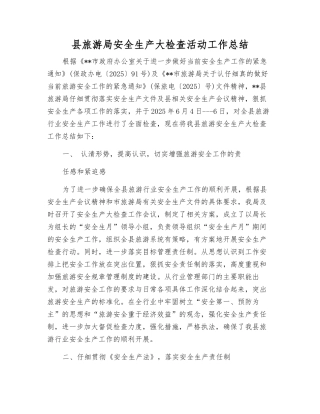 县旅游局安全生产大检查活动工作总结