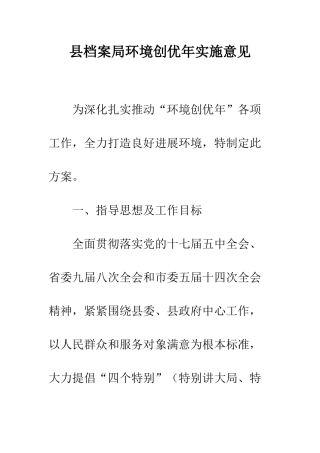 县档案局环境创优年实施意见--精编范文