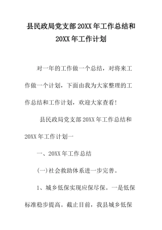 县民政局党支部2025年工作总结和2025年工作计划--精编范文