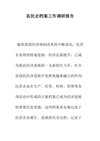 县民企档案工作调研报告--精编范文