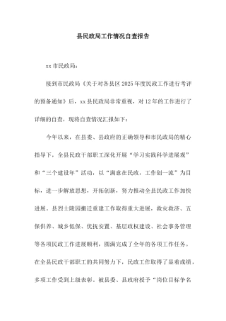 县民政局工作情况自查报告