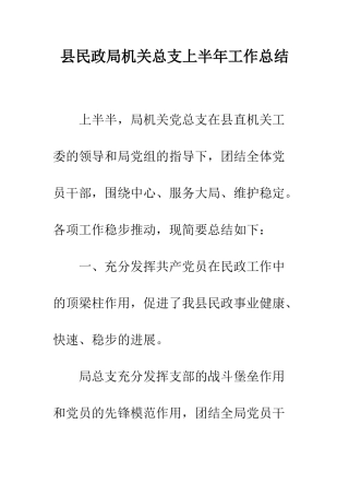县民政局机关总支上半年工作总结--精编范文