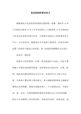 县法院剖析报告范文
