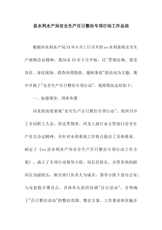 县水利水产局安全生产百日整治专项行动工作总结