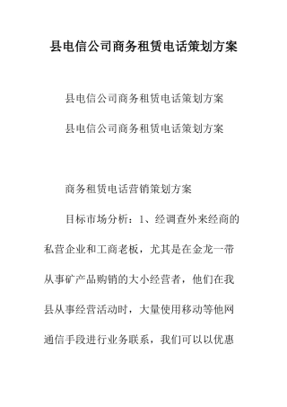 县电信公司商务租赁电话策划方案--精编范文
