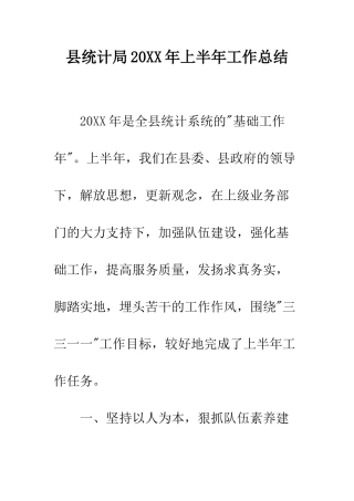 县统计局2025年上半年工作总结--精编范文