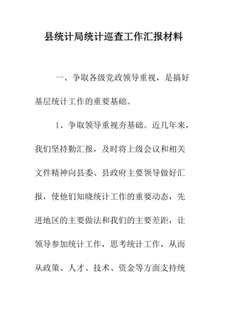 县统计局统计巡查工作汇报材料--精编范文