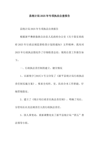 县统计局2025年专项执法自查报告