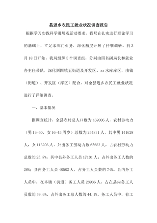 县返乡农民工就业状况调查报告