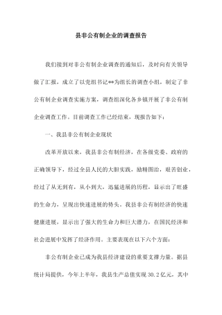 县非公有制企业的调查报告