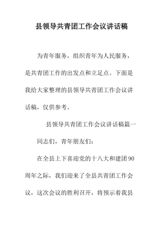 县领导共青团工作会议讲话稿--精编范文