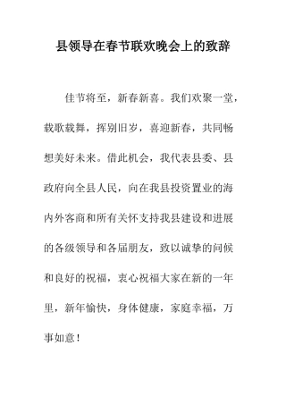 县领导在春节联欢晚会上的致辞--精编范文