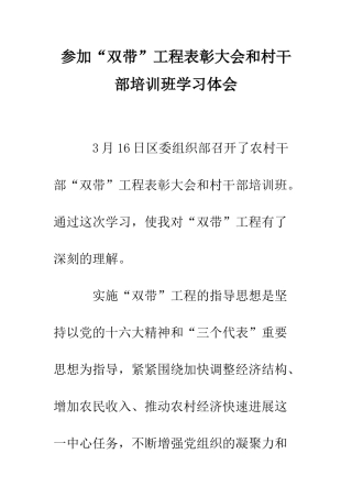 参加“双带”工程表彰大会和村干部培训班学习体会--精编范文