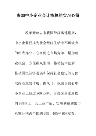 参加中小企业会计核算的实习心得--精编范文