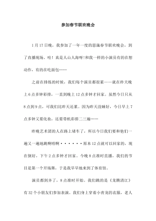 参加春节联欢晚会