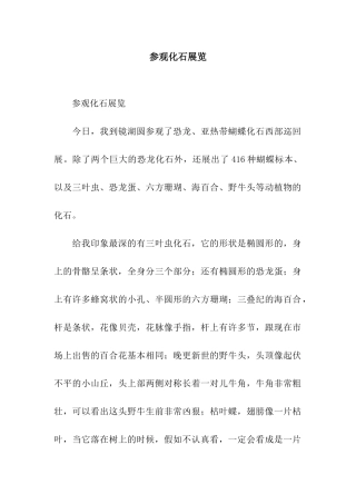 参观化石展览-2