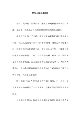 参观玉湖豆制品厂