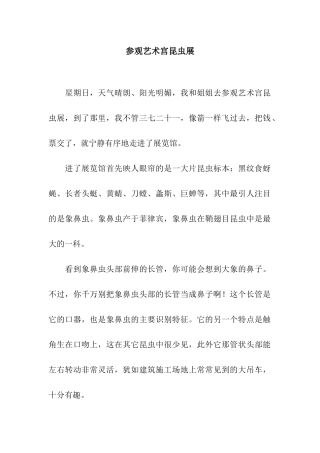 参观艺术宫昆虫展