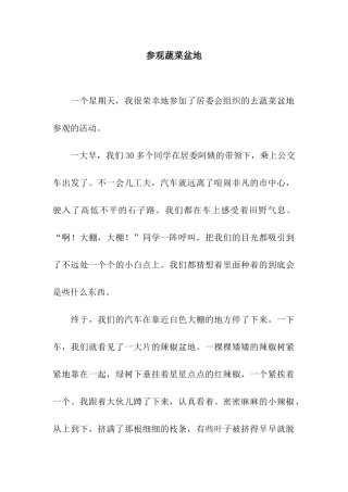 参观蔬菜盆地