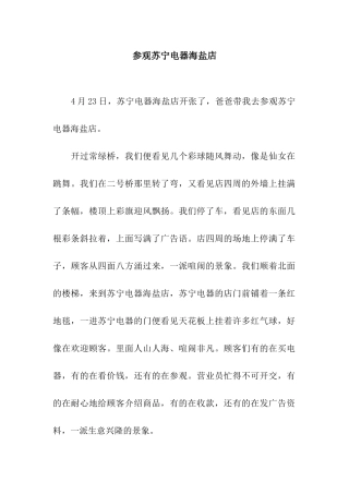 参观苏宁电器海盐店