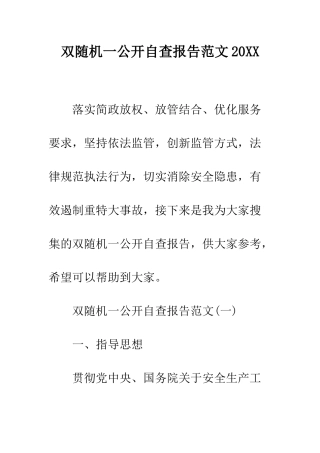 双随机一公开自查报告范文2025--精编范文