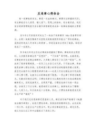 反违章心得体会