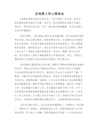 反违章工作心得体会