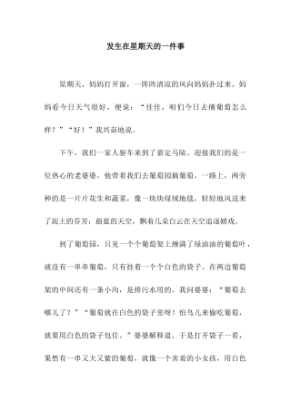 发生在星期天的一件事