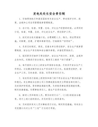 发电处处长安全责任制