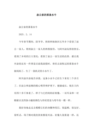 叔公家的那条水牛