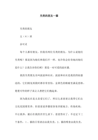 另类的朋友—猫