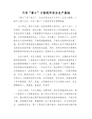 只有“善小”才能筑牢安全生产基础