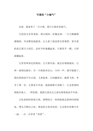 可爱的“小淘气”