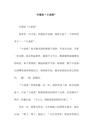 可爱的“小老虎”-4