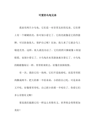 可爱的乌龟兄弟