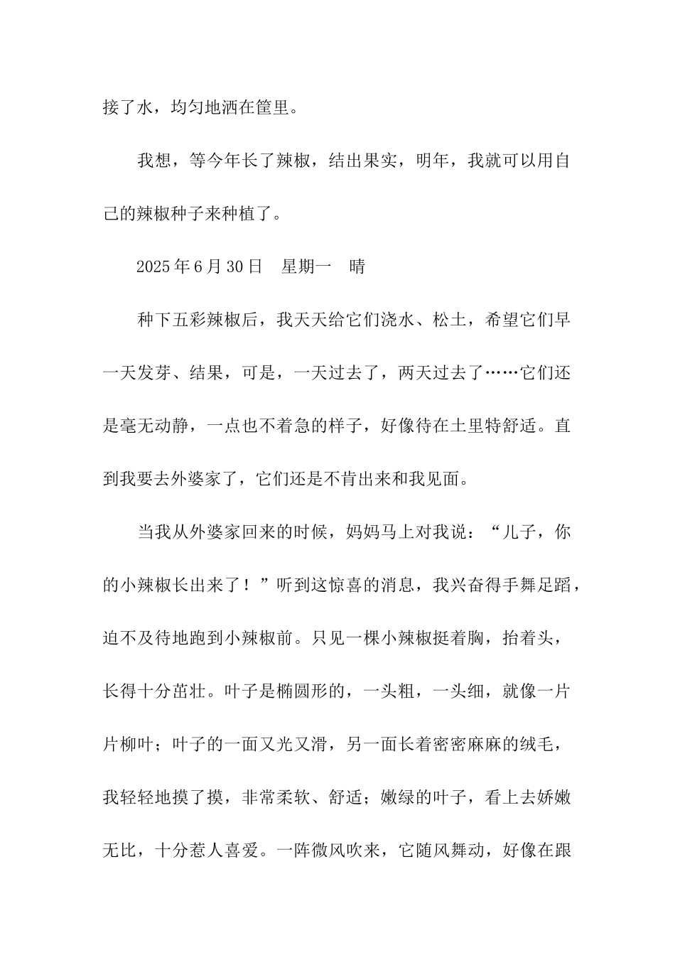 可爱的五彩小辣椒_第2页