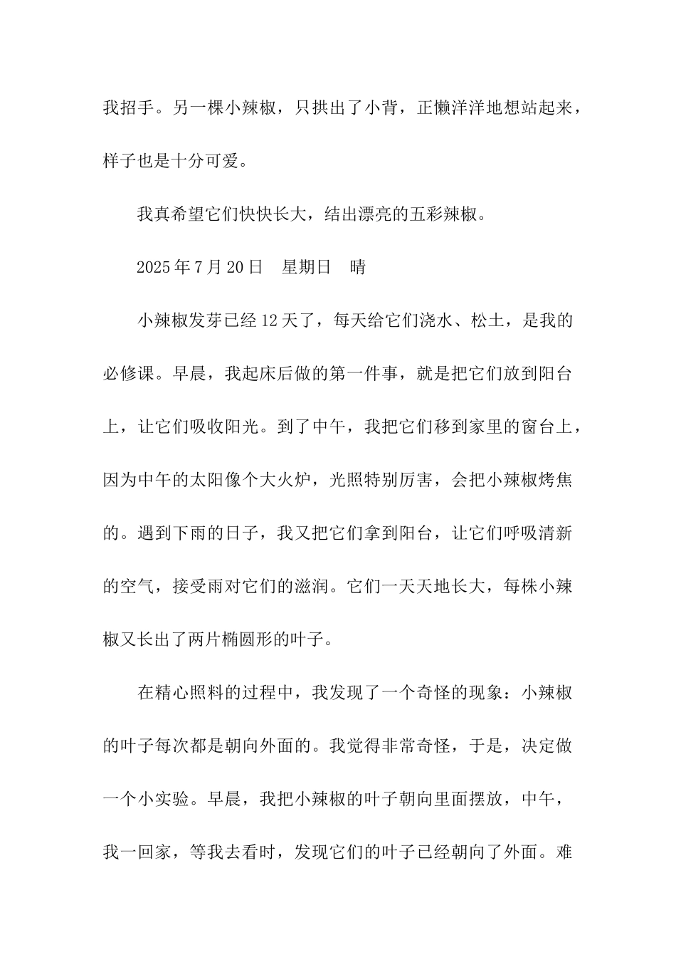 可爱的五彩小辣椒_第3页