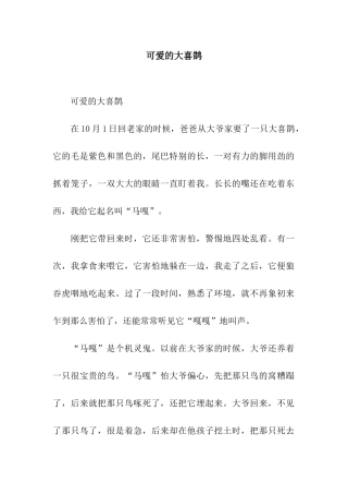 可爱的大喜鹊