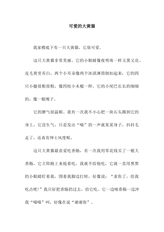 可爱的大黄猫