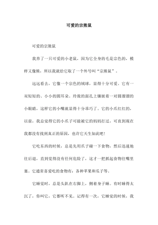 可爱的宗熊鼠