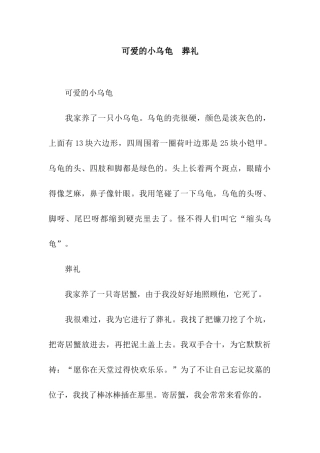 可爱的小乌龟--葬礼