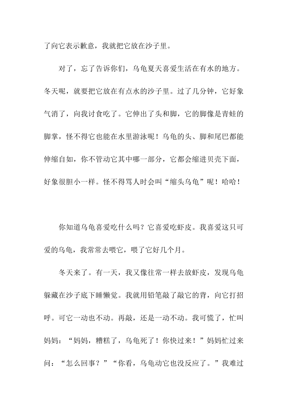 可爱的小乌龟-2_第2页