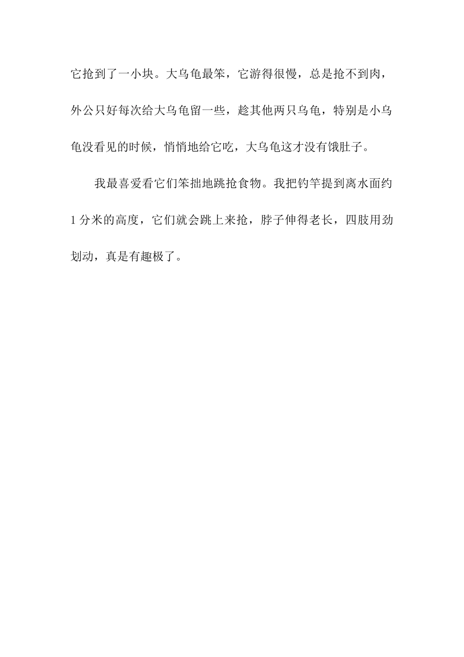 可爱的小乌龟-4_第2页