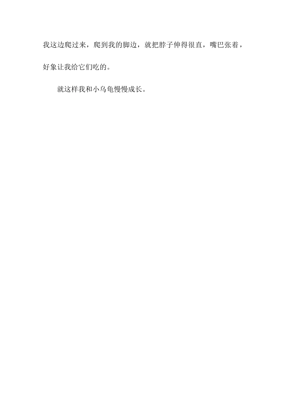 可爱的小乌龟-5_第2页