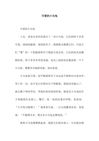 可爱的小乌龟-5