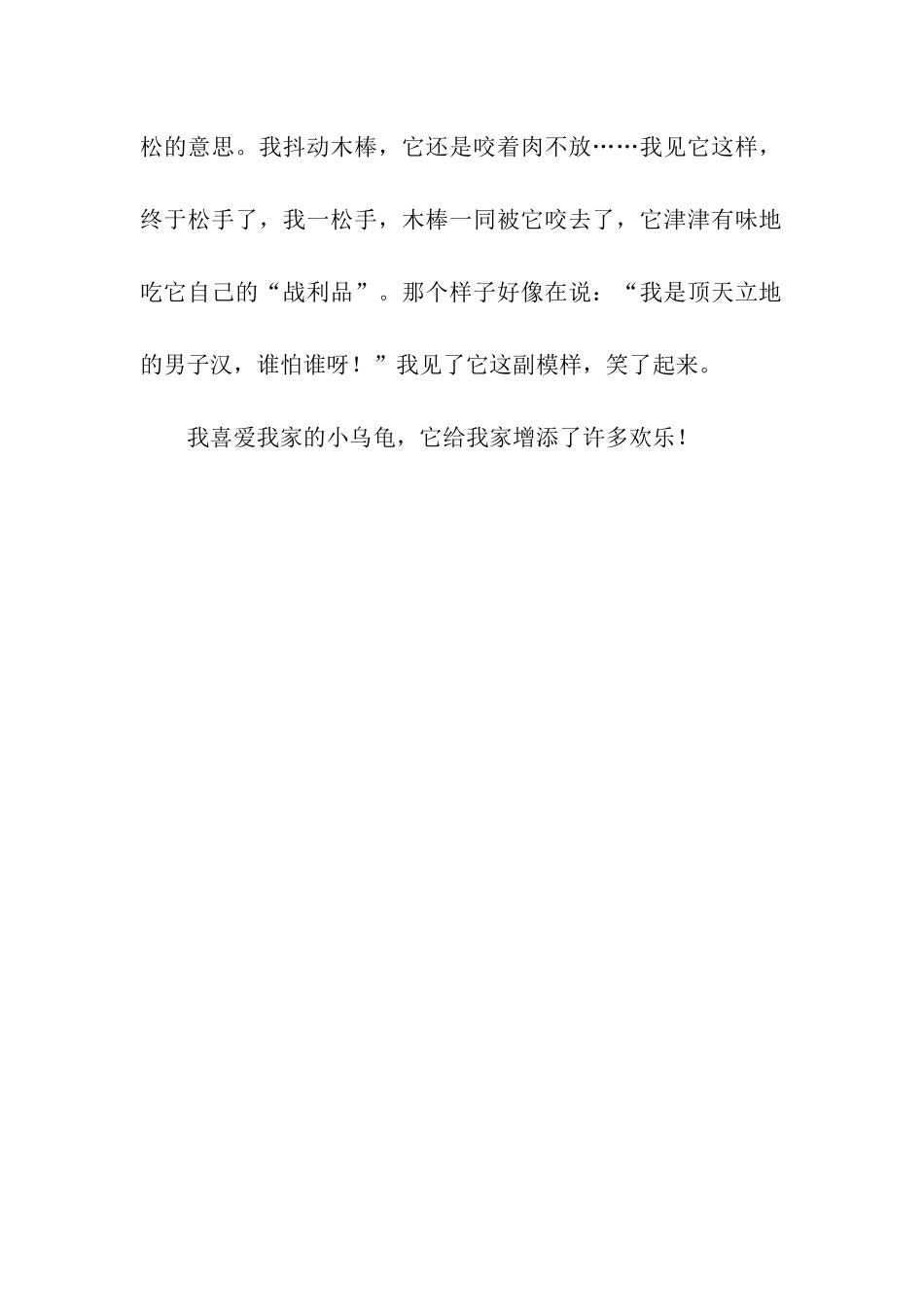 可爱的小乌龟-7_第2页